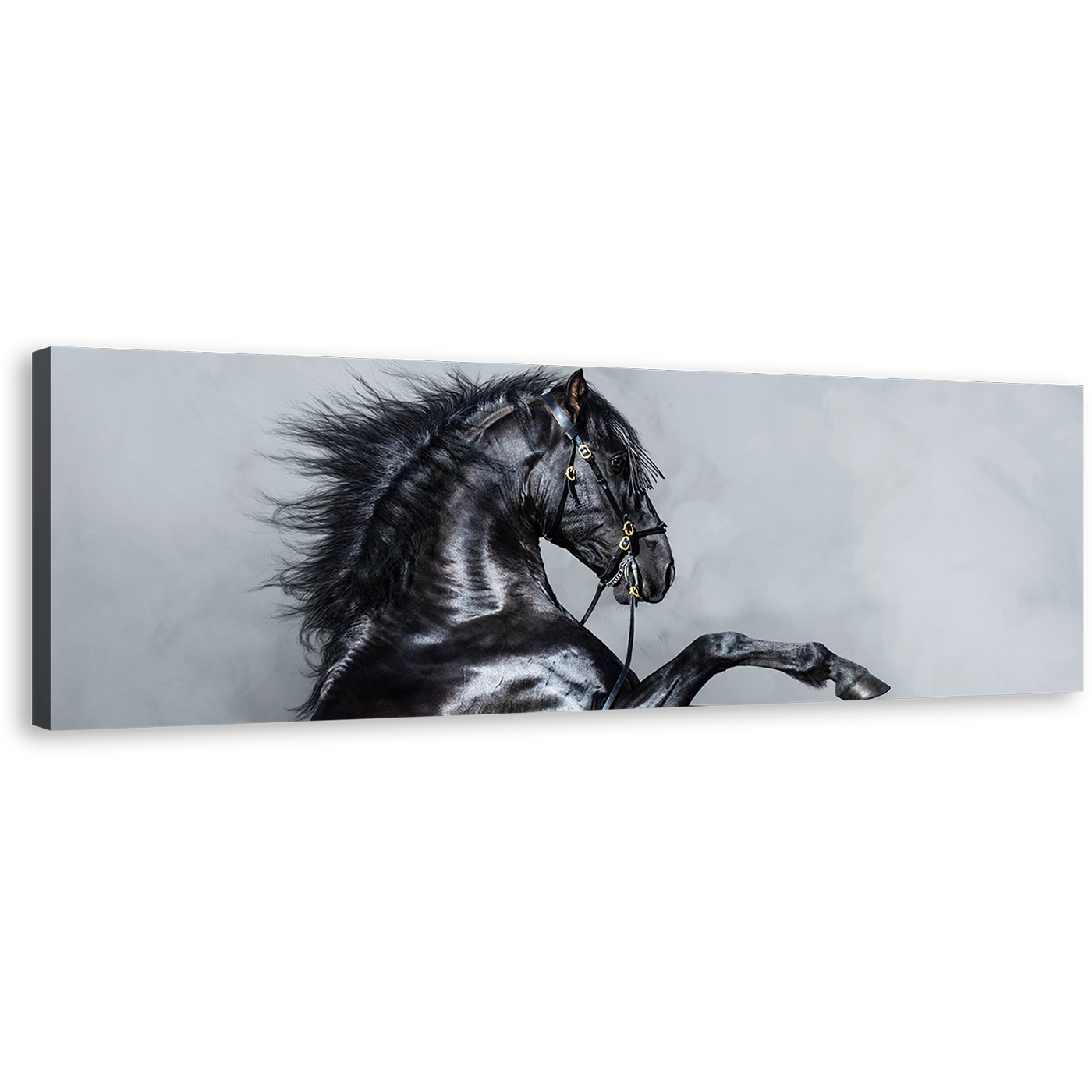 Elegant Horse Canvas Wall Art, Black Horse Side Portrait 1 Piece Canvas Print, Grey Shinny Horse Canvas Artwork