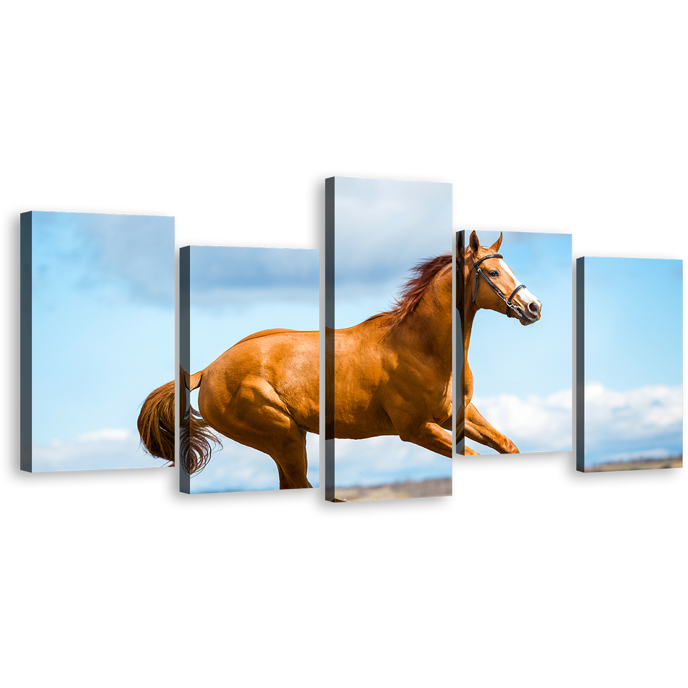 Elegant Horse Canvas Wall Art, Blue Sky Chestnut Horse Side 5 Piece Canvas Print, Brown Horse Gallop Multi Canvas Artwork