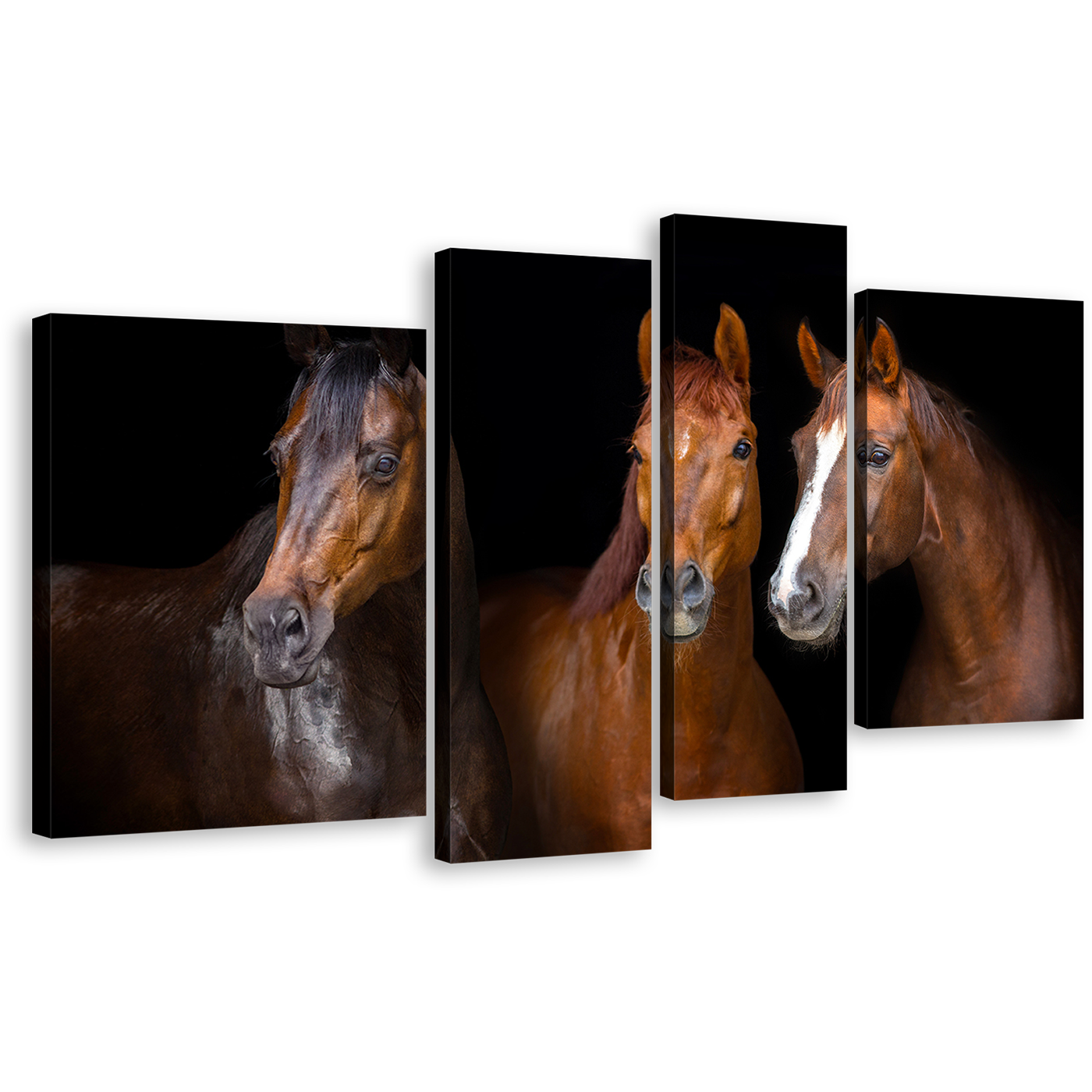 Elegant Horses Canvas Print, Elegant Group Horses 4 Piece Canvas, Isolated Horses Black Background Canvas Set, Brown Horses Portrait Canvas Wall Art