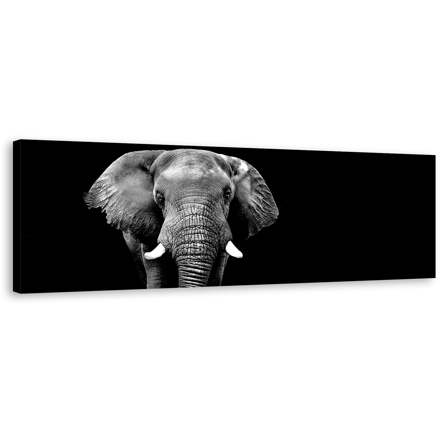 Elephant Animal Canvas Print, Grey Elephant Digital Painting 1 Piece Canvas Wall Art, Black and White Elephant Front Wide Canvas