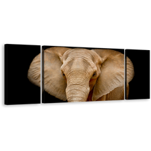 Load image into Gallery viewer, Elephant Animal Canvas Wall Art, Brown Elephant Art Print, Elephant Close Up Multi Canvas, Black Background Elephant Front 3 Piece Canvas Set
