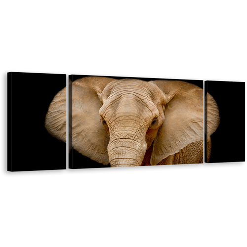 Elephant Animal Canvas Wall Art, Brown Elephant Art Print, Elephant Close Up Multi Canvas, Black Background Elephant Front 3 Piece Canvas Set