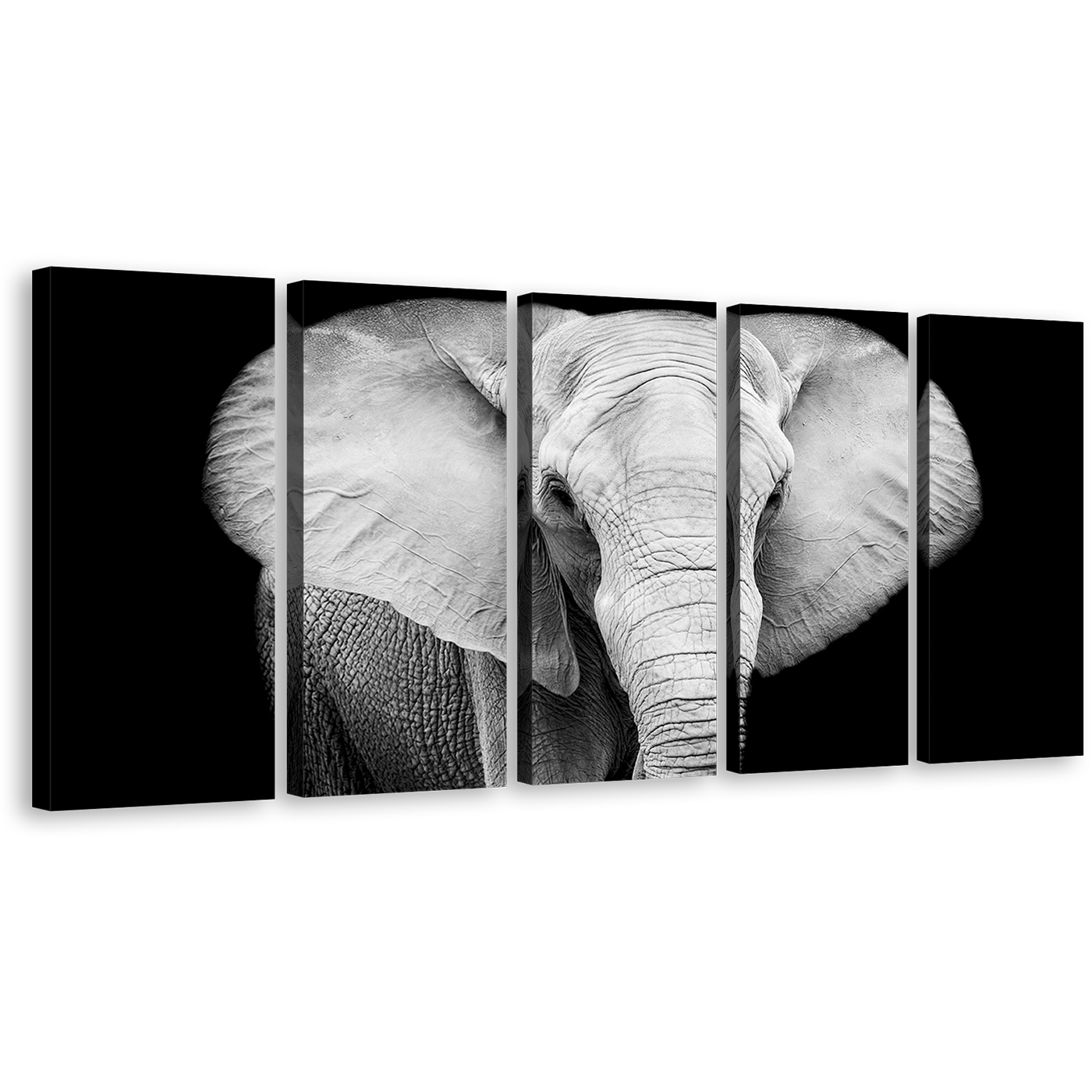 Elephant Animal Canvas Wall Art, Grey Elephant Art Print, Elephant Black and White 5 Piece Canvas Set, Elephant Front Multiple Canvas