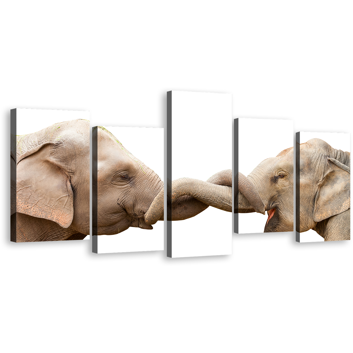 Elephant Couple Canvas Wall Art, Elephant Kissing Canvas Print, Grey Elephant Profile 5 Piece Multiple Canvas