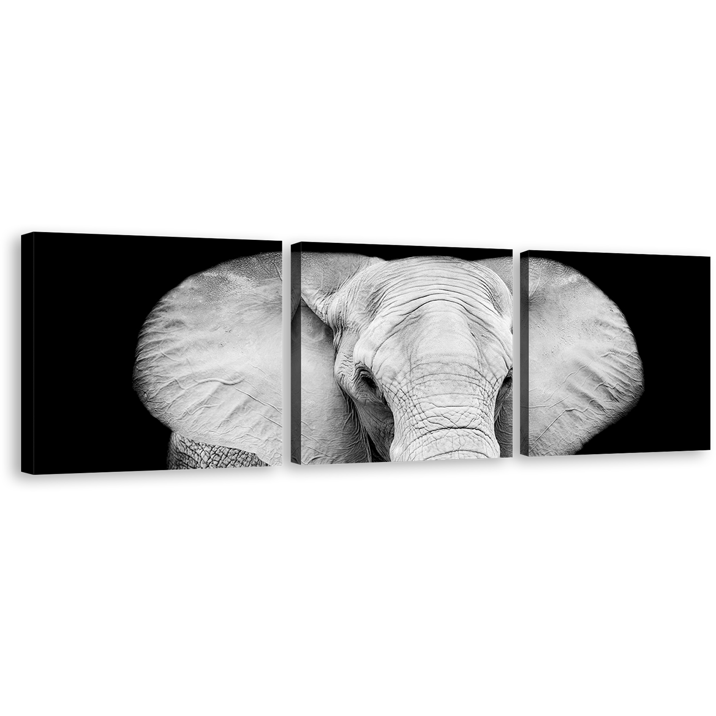 Elephant Front Canvas Print, Elephant Black and White 3 Piece Multi Canvas Artwork, Grey Isolated Elephant Canvas Wall Art