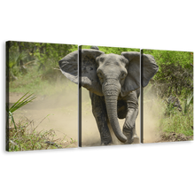 Load image into Gallery viewer, Elephant Front Canvas Print, Grey Elephant Running 3 Piece Canvas Wall Art, Green Scenery Elephant Walking Canvas Set
