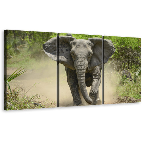 Elephant Front Canvas Print, Grey Elephant Running 3 Piece Canvas Wall Art, Green Scenery Elephant Walking Canvas Set