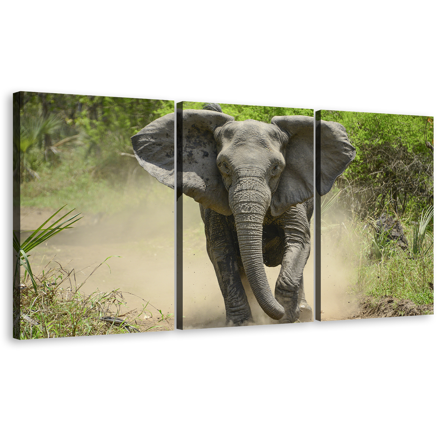 Elephant Front Canvas Print, Grey Elephant Running 3 Piece Canvas Wall Art, Green Scenery Elephant Walking Canvas Set