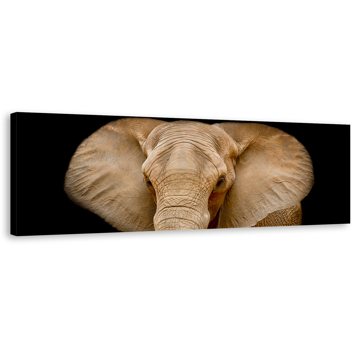 Elephant Front Canvas Wall Art, Black Background Isolated Elephant 1 Piece Canvas, Brown Elephant Close Up Canvas Print