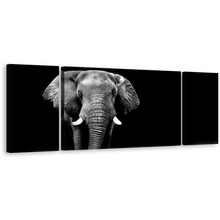 Load image into Gallery viewer, Elephant Front Canvas Wall Art, Black and White Elephant Animal 3 Piece Canvas Set, Grey Elephant Art Print
