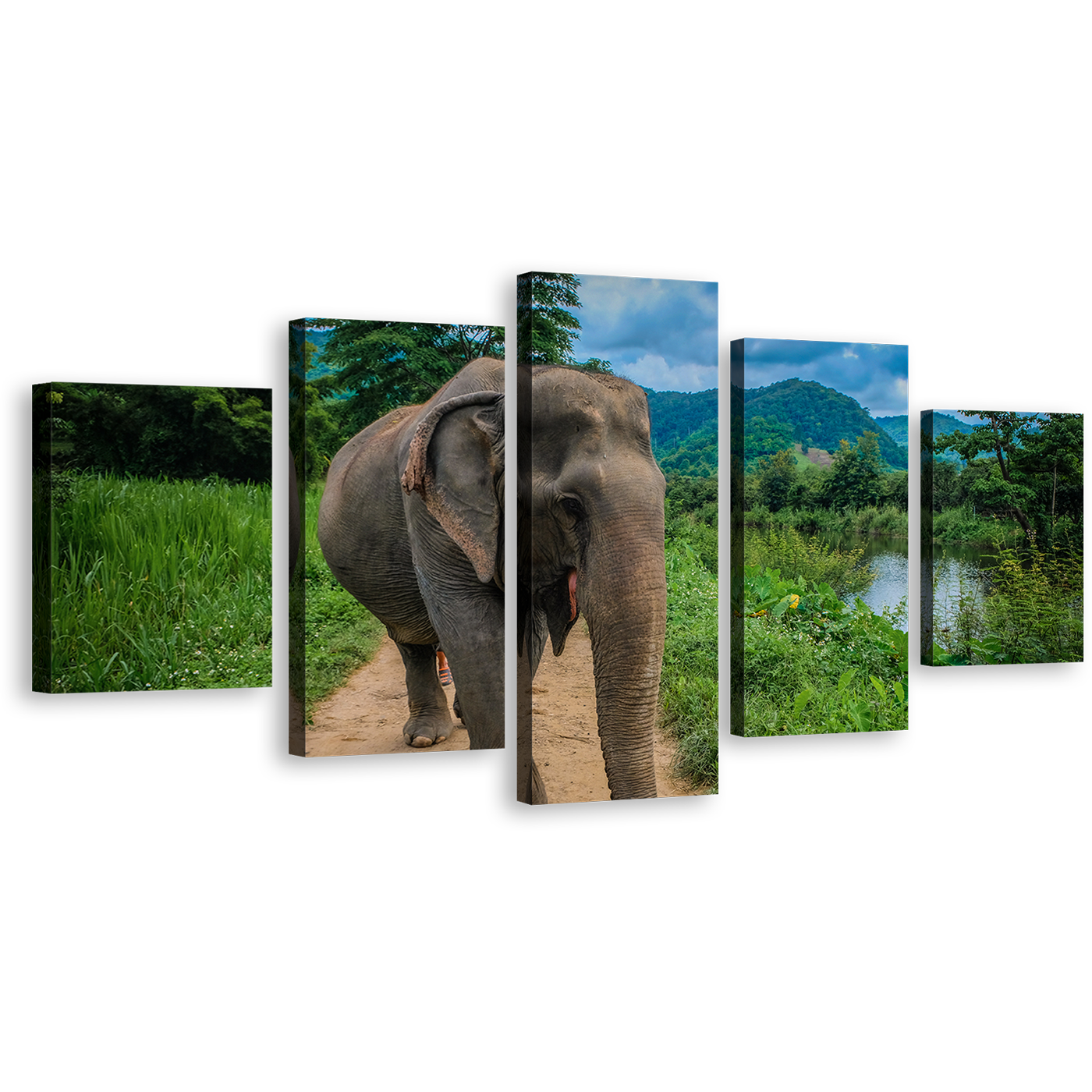 Elephant Front Canvas Wall Art, Grey Elephant Landscape Canvas Print, Elephant Green Scenery 5 Piece Multiple Canvas