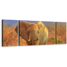 Load image into Gallery viewer, Elephant Front Wall Art, Grey Isolated Elephant 3 Piece Canvas Print, Animal in Orange Nature Multiple Canvas
