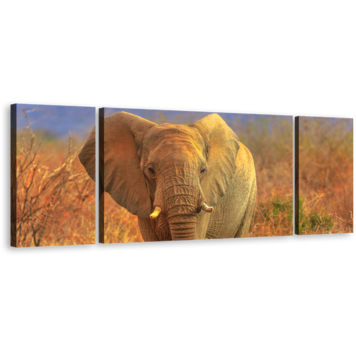 Elephant Front Wall Art, Grey Isolated Elephant 3 Piece Canvas Print, Animal in Orange Nature Multiple Canvas