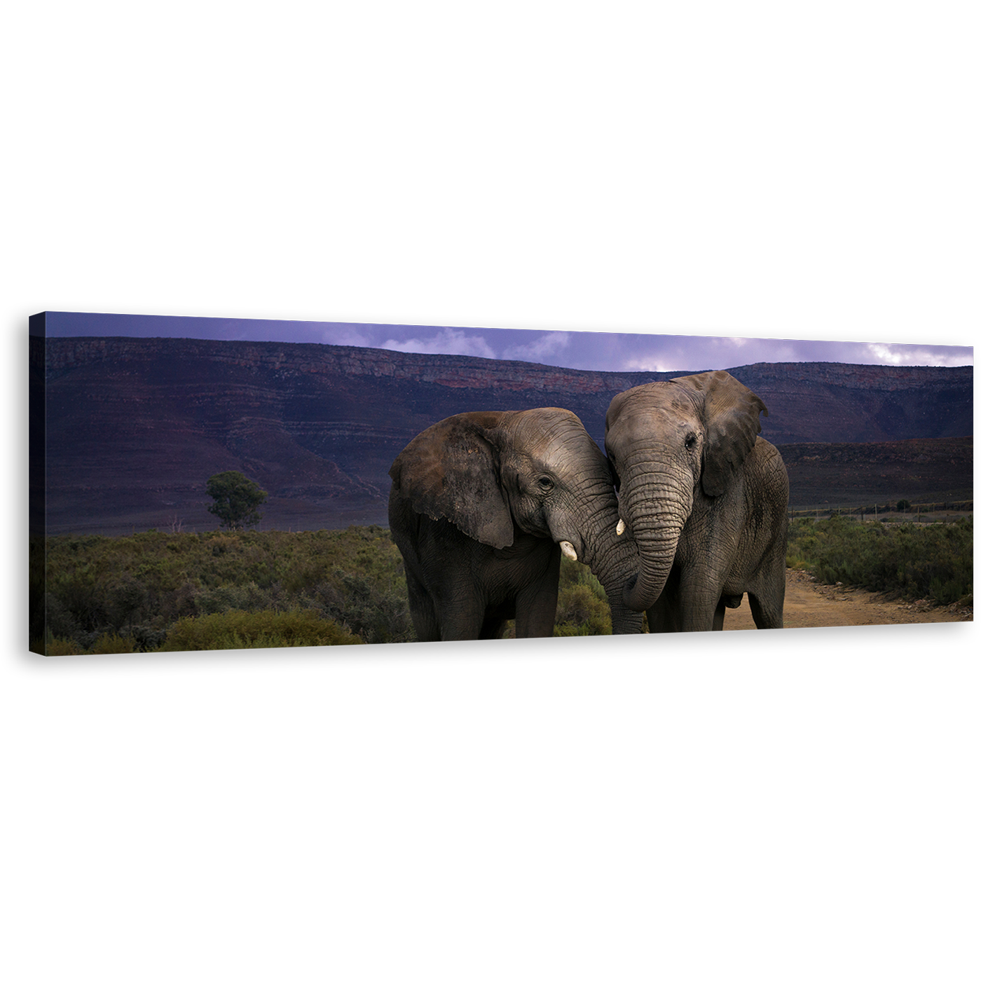 Elephant Hug Wall Art, Grey Elephant Love Panoramic Canvas Print, Animal in Green Nature Canvas Art