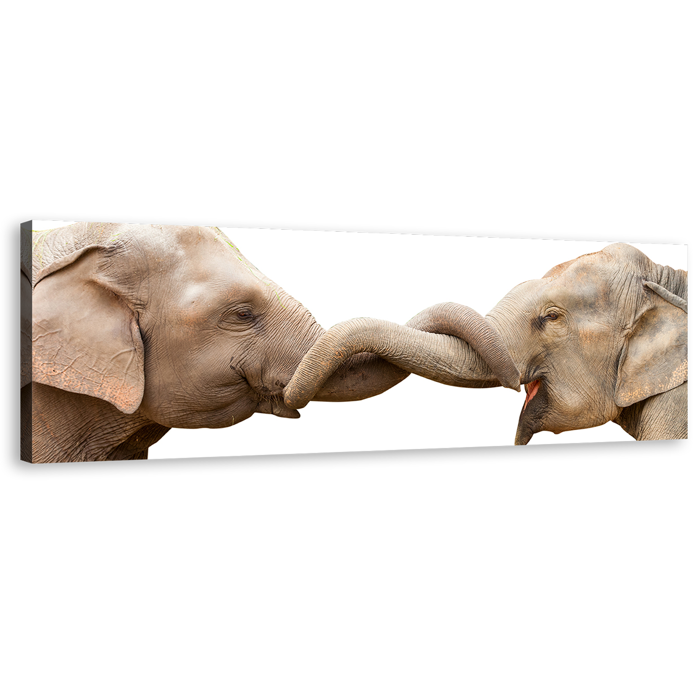 Elephant Kissing Canvas Wall Art, Grey Brown Elephants Love Canvas Artwork, Elephant Couple 1 Piece Canvas Print