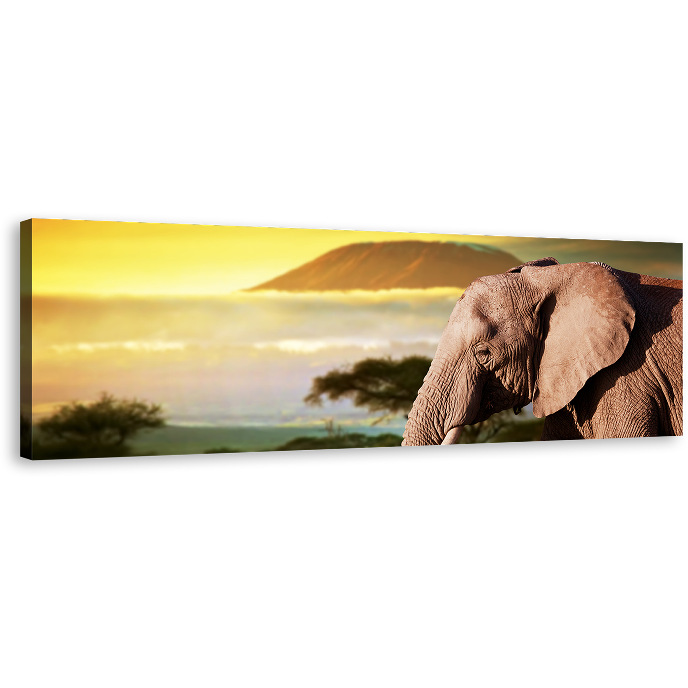 Elephant Profile Canvas Wall Art, Brown Elephant Art Print, Yellow Sunset Elephant Scenery 1 Piece Canvas Artwork