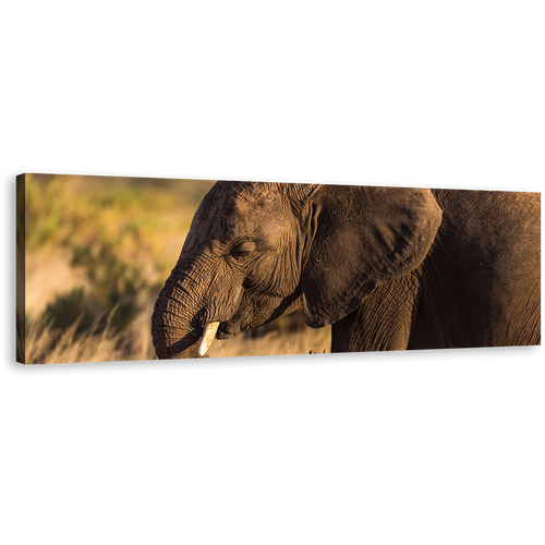 Elephant Profile Canvas Wall Art, Brown Elephant Smiling Panoramic Canvas Print, Elephant Green Scenery Wide Canvas