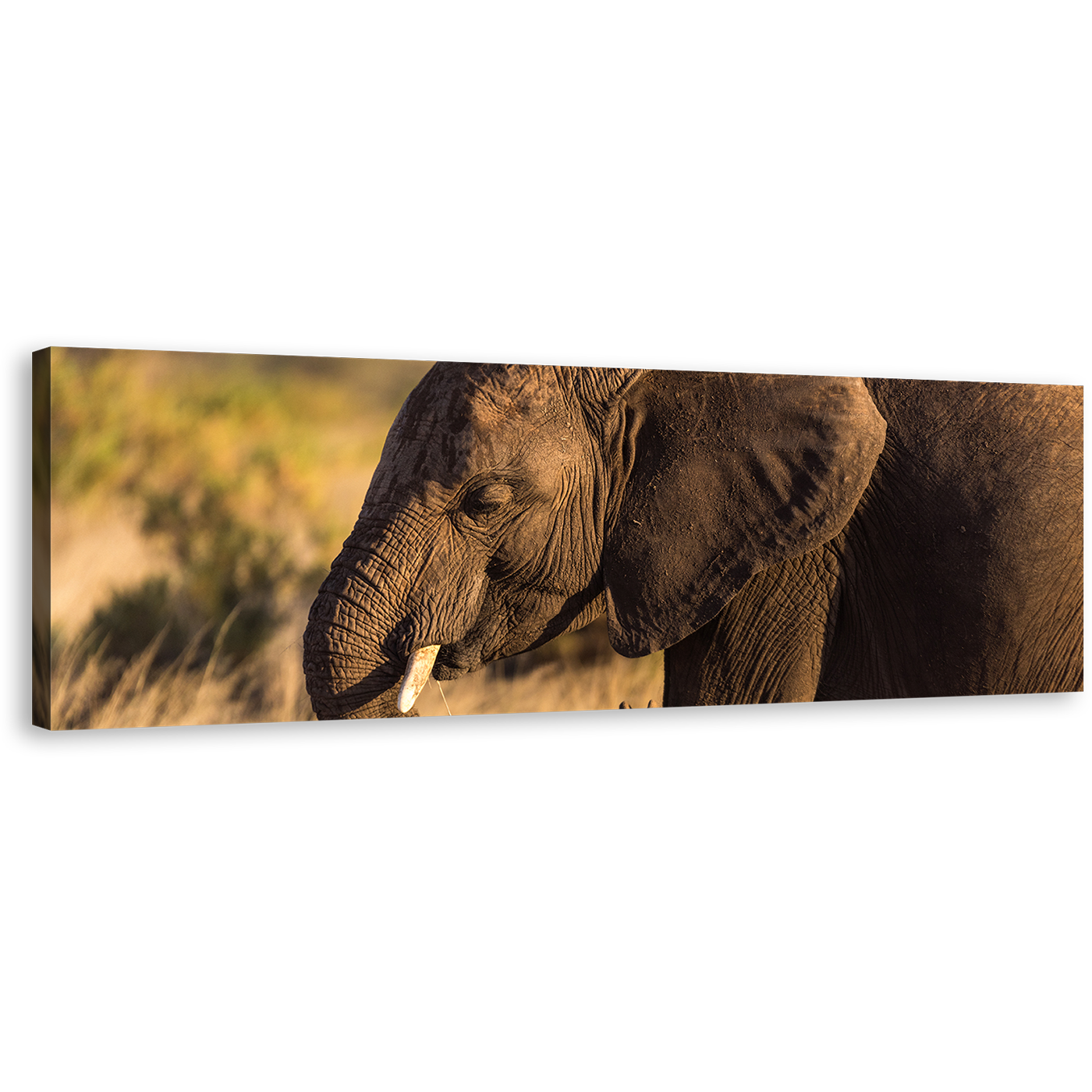 Elephant Profile Canvas Wall Art, Brown Elephant Smiling Panoramic Canvas Print, Elephant Green Scenery Wide Canvas