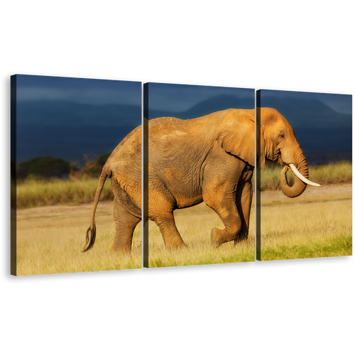 Elephant Profile Canvas Wall Art, Elephant Animal 3 Piece Canvas Print, Orange Grey African Elephant Triptych Canvas Set