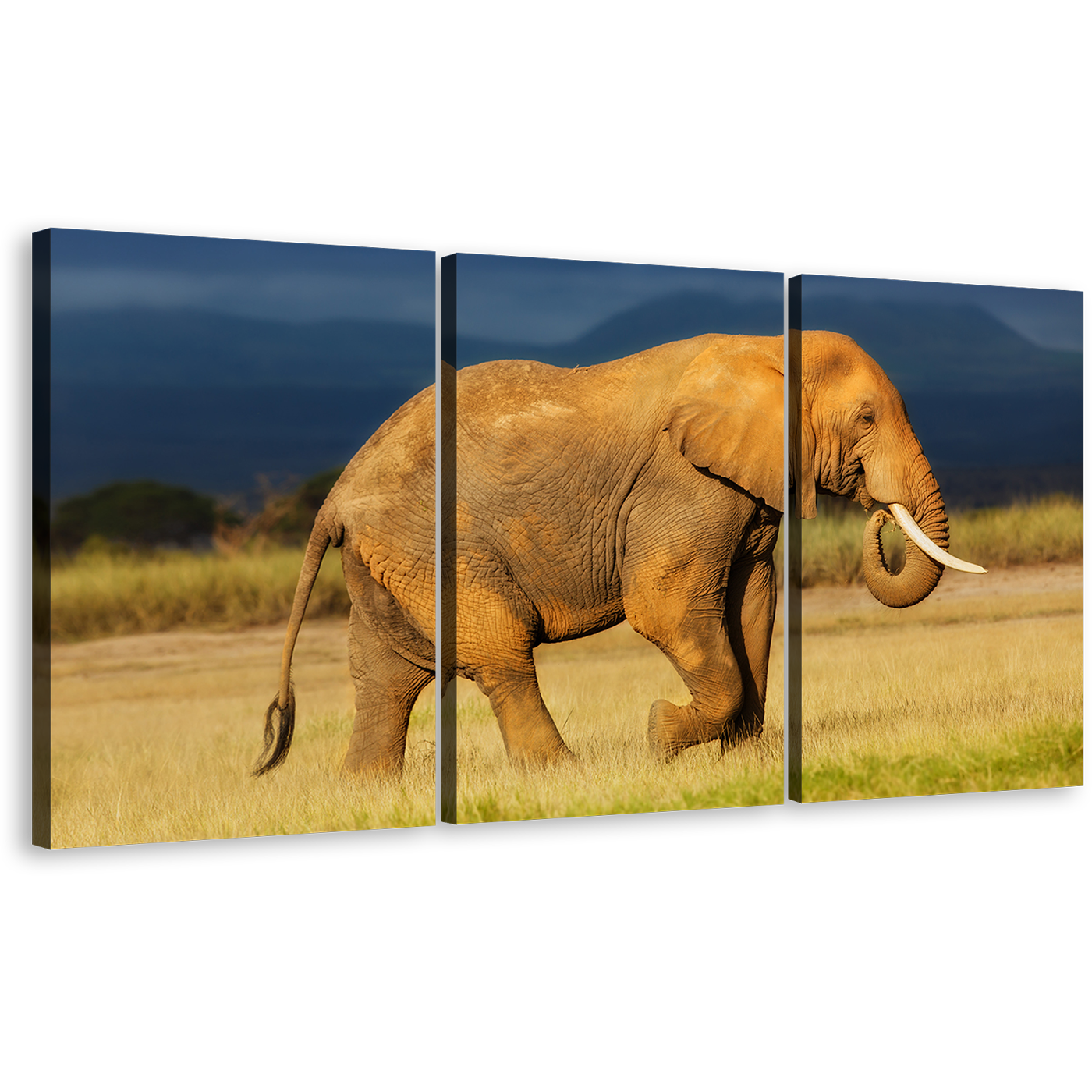 Elephant Profile Canvas Wall Art, Elephant Animal 3 Piece Canvas Print, Orange Grey African Elephant Triptych Canvas Set