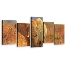 Load image into Gallery viewer, Elephant Scenery Canvas Print, Grey Elephant Walking 5 Piece Wall Art, Isolated Animal in Orange Nature Multiple Canvas
