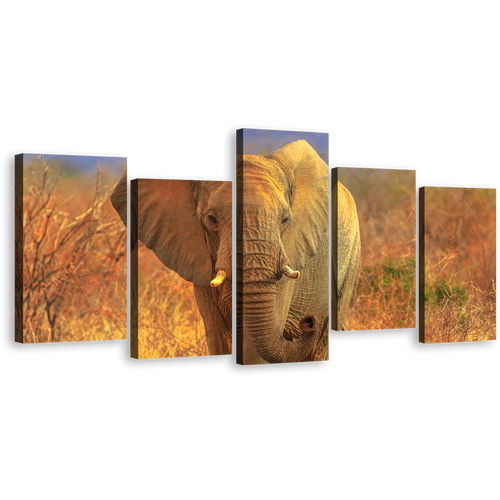 Elephant Scenery Canvas Print, Grey Elephant Walking 5 Piece Wall Art, Isolated Animal in Orange Nature Multiple Canvas