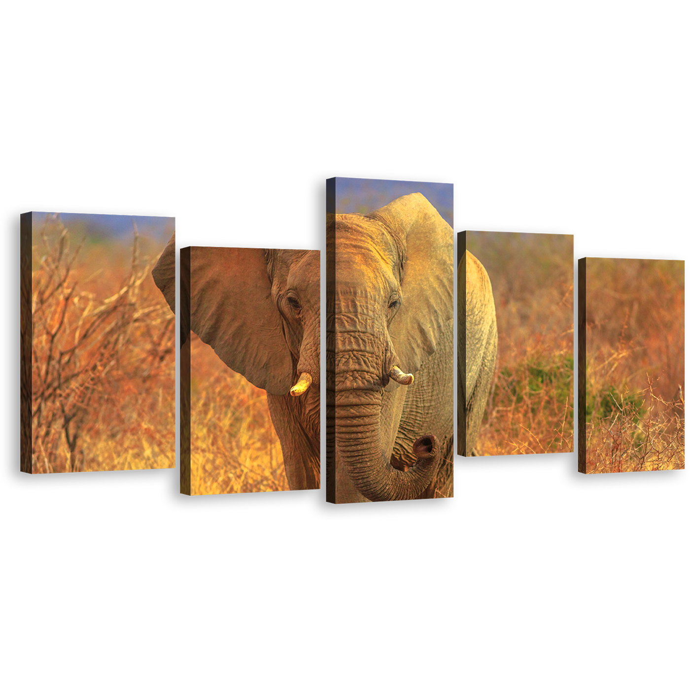 Elephant Scenery Canvas Print, Grey Elephant Walking 5 Piece Wall Art, Isolated Animal in Orange Nature Multiple Canvas