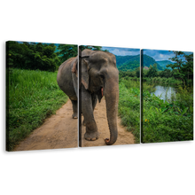 Load image into Gallery viewer, Elephant Scenery Canvas Wall Art, Grey Elephant Smile 3 Piece Canvas Print, Elephant in Green Nature Multi Canvas
