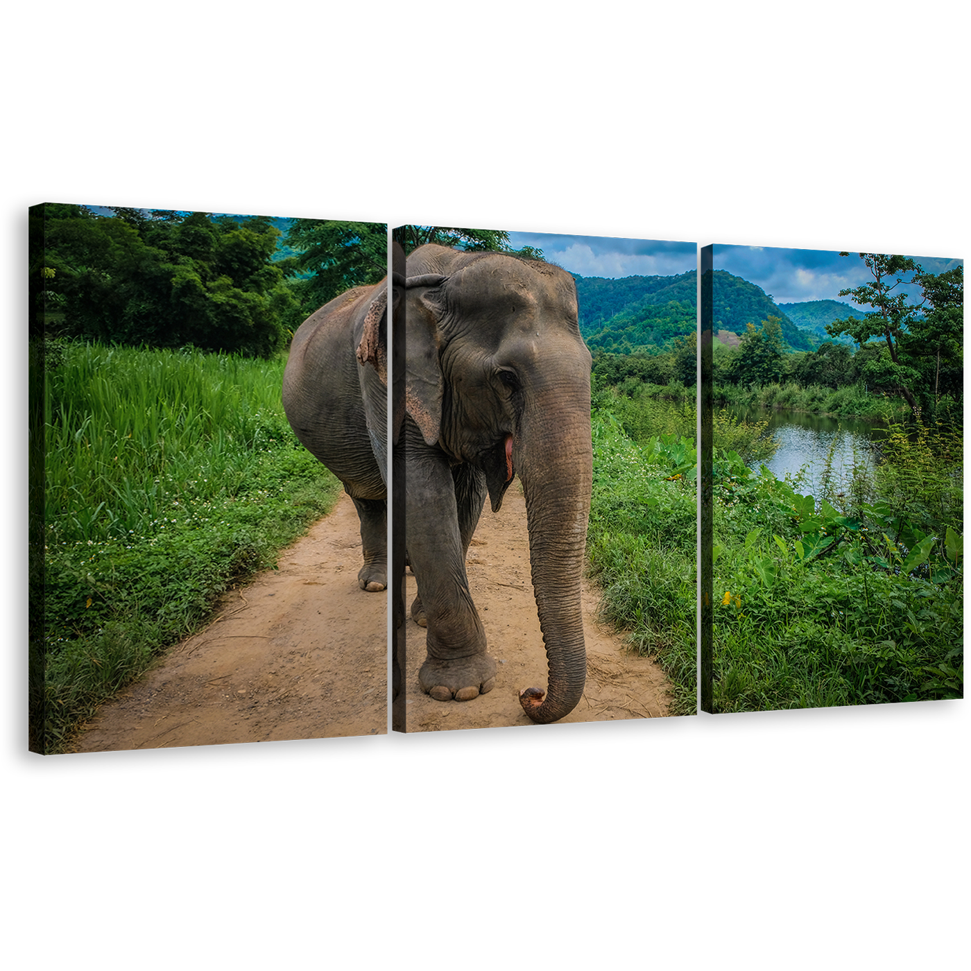 Elephant Scenery Canvas Wall Art, Grey Elephant Smile 3 Piece Canvas Print, Elephant in Green Nature Multi Canvas