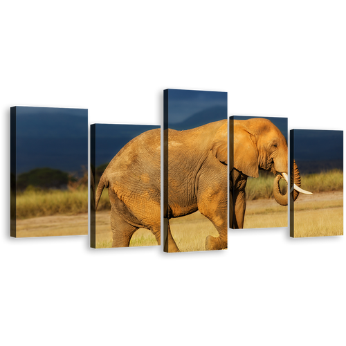 Elephant Scenery Canvas Wall Art, Orange African Elephant 5 Piece Multi Canvas Artwork, Elephant Art Print