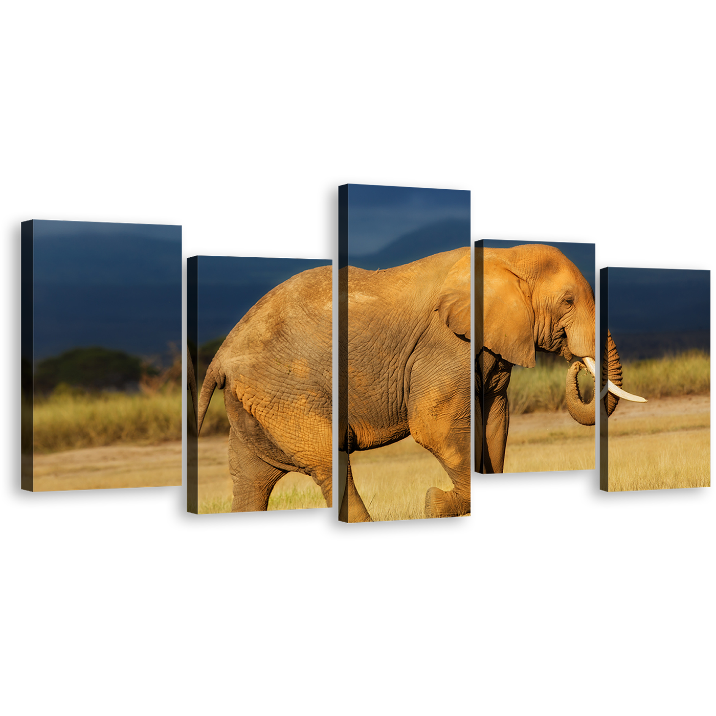 Elephant Scenery Canvas Wall Art, Orange African Elephant 5 Piece Multi Canvas Artwork, Elephant Art Print