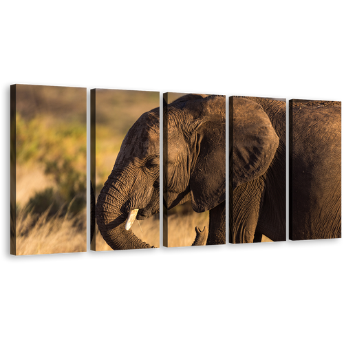 Elephant Smile Canvas Wall Art, Elephant Green Landscape Scenery Elephant Canvas Print, Brown Elephant Profile 5 Piece Multiple Canvas