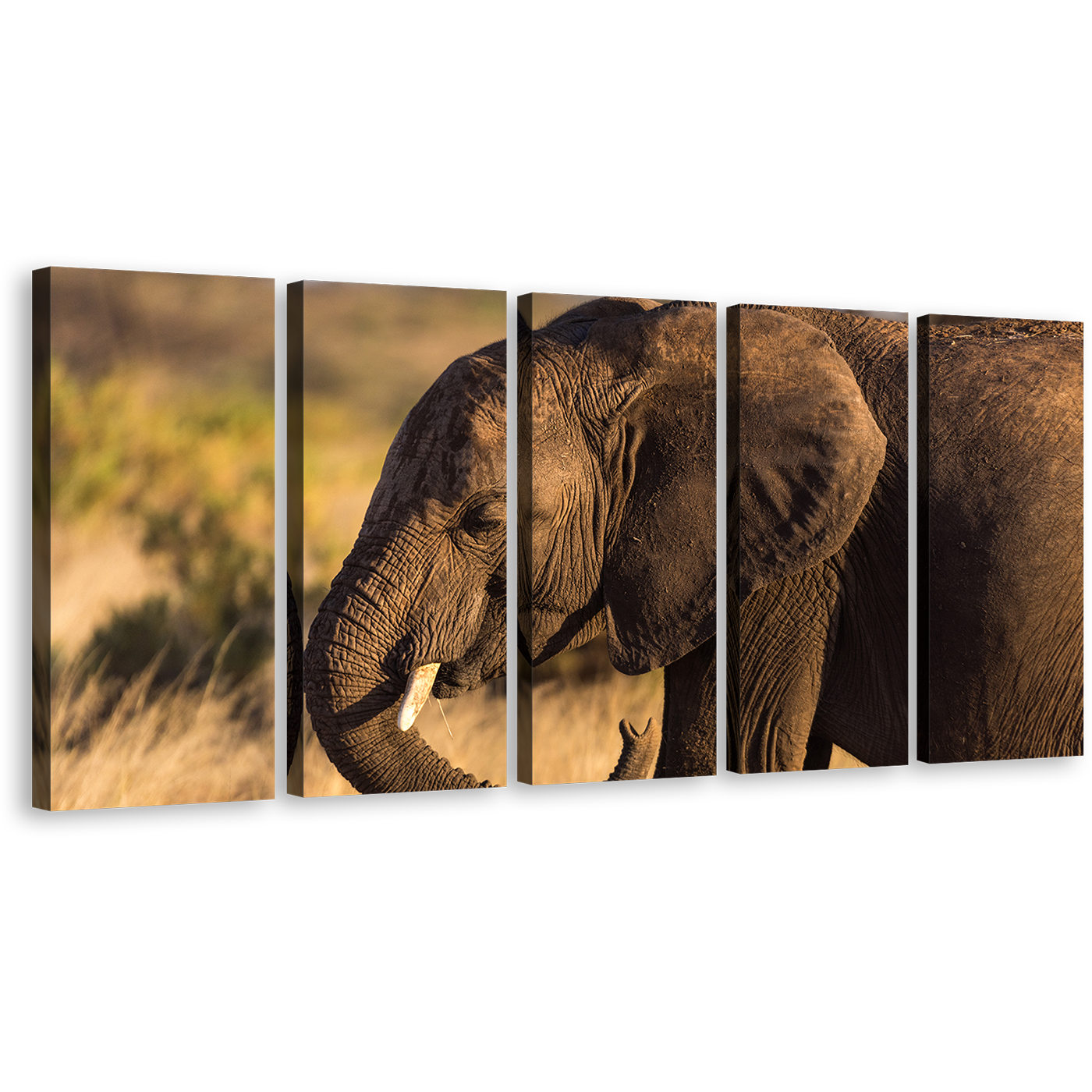 Elephant Smile Canvas Wall Art, Elephant Green Landscape Scenery Elephant Canvas Print, Brown Elephant Profile 5 Piece Multiple Canvas