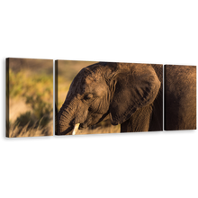 Load image into Gallery viewer, Elephant Smiling Canvas Print, Brown Elephant 3 Piece Canvas Wall Art, Elephant in Green Scenery Multi Canvas Artwork
