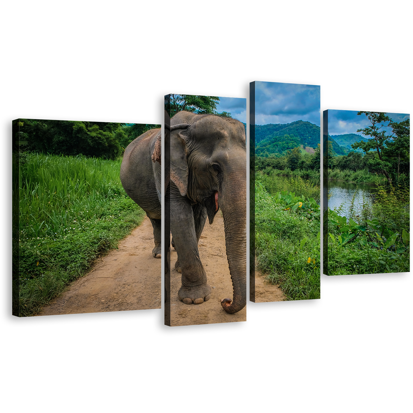 Elephant Smiling Canvas Print, Isolated Elephant Green Scenery 4 Piece Canvas Wall Art, Grey Elephant Front Canvas Set