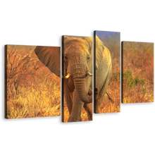 Load image into Gallery viewer, Elephant Walking Wall Art, Animal in Orange Nature 4 Piece Multi Canvas, Grey Elephant Front Canvas Print
