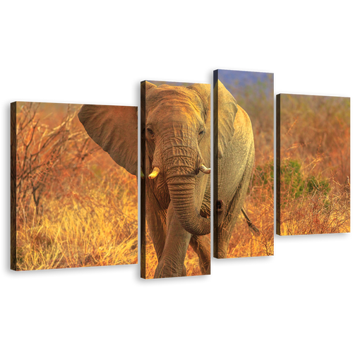 Elephant Walking Wall Art, Animal in Orange Nature 4 Piece Multi Canvas, Grey Elephant Front Canvas Print