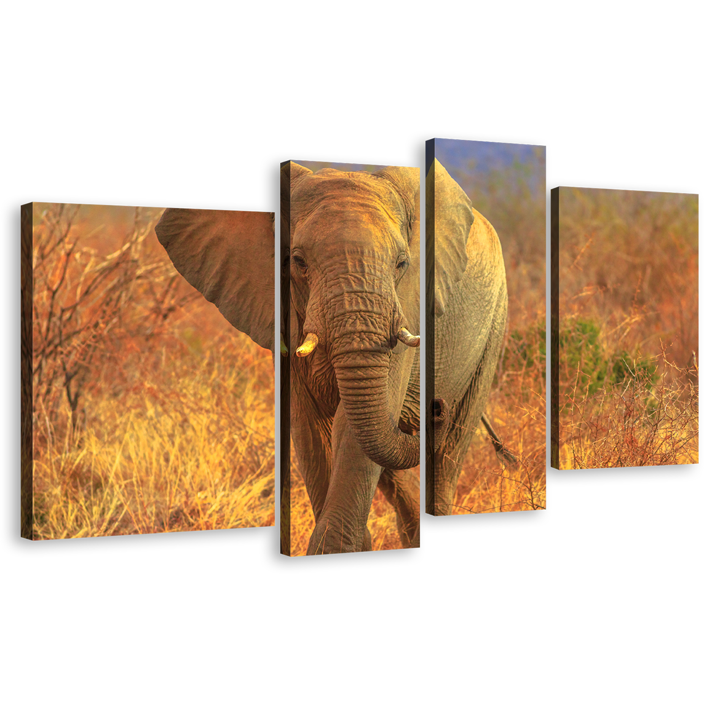 Elephant Walking Wall Art, Animal in Orange Nature 4 Piece Multi Canvas, Grey Elephant Front Canvas Print