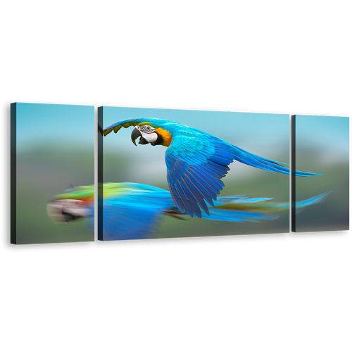 Exotic Parrot Canvas Wall Art, Colorful Macaw Flying 3 Piece Canvas, Bird Flying Multi Canvas Artwork