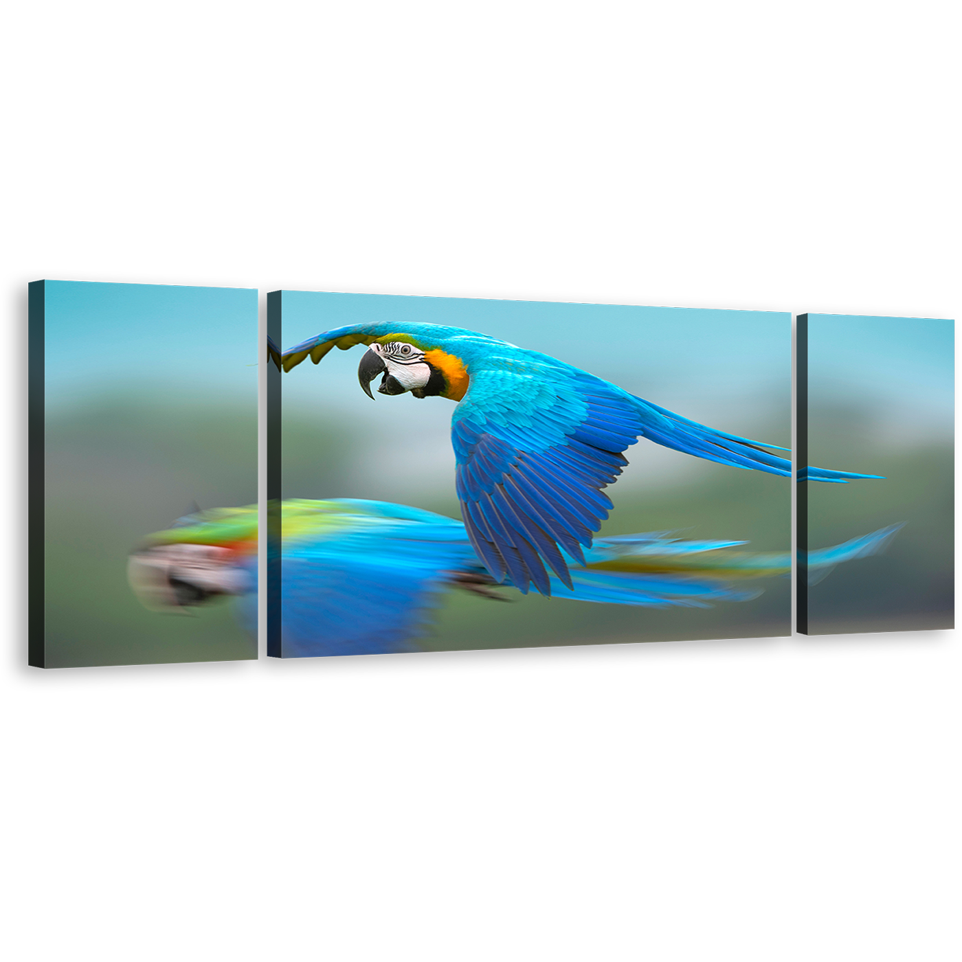 Exotic Parrot Canvas Wall Art, Colorful Macaw Flying 3 Piece Canvas, Bird Flying Multi Canvas Artwork