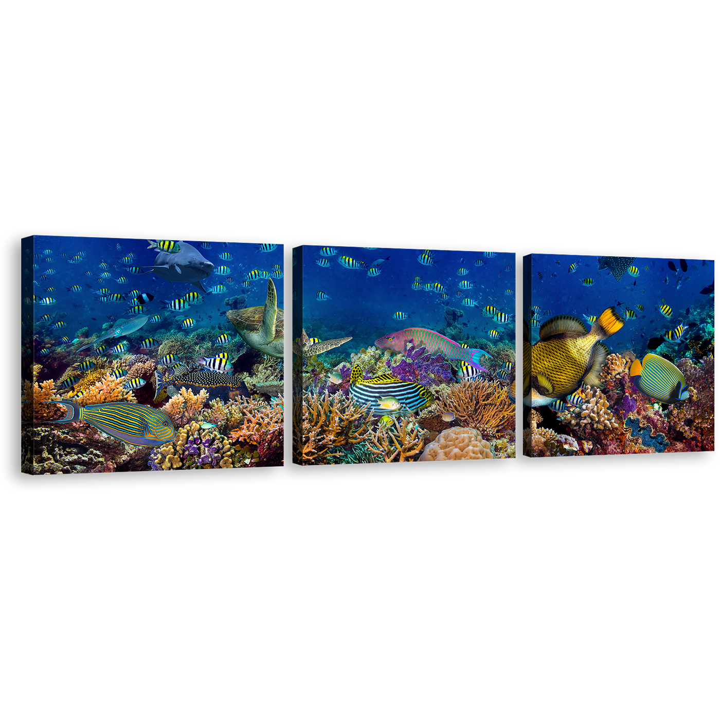Fish Aquarium Canvas Print, Blue Underwater Coral Reef 3 Piece Canvas, Colorful Fish Canvas Print