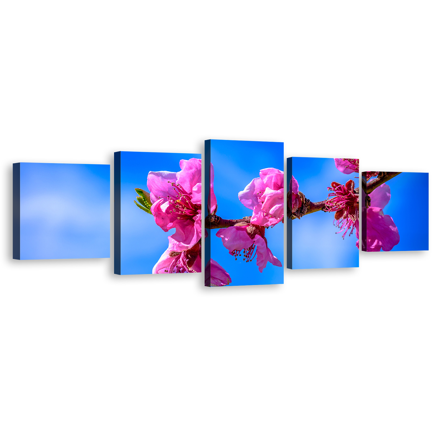 Floral Branch Canvas Print, Pink Flowers Blossom Digital Painting 5 Piece Canvas, Blue Sky Blossoming Branch Multi Canvas