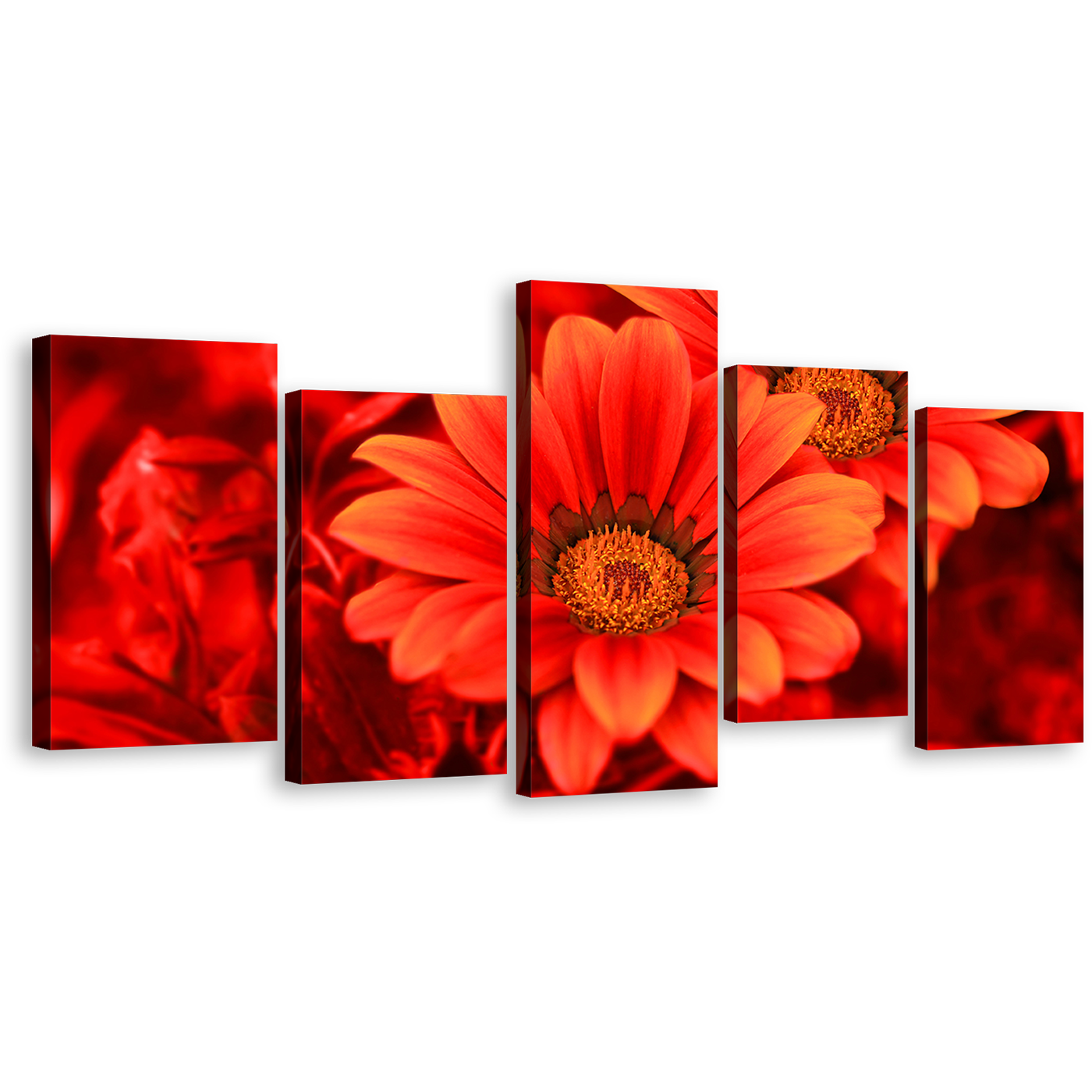 Floral Closeup Canvas Wall Art, Beautiful Red Flowers Canvas Print, Abstract Flowers 5 Piece Canvas