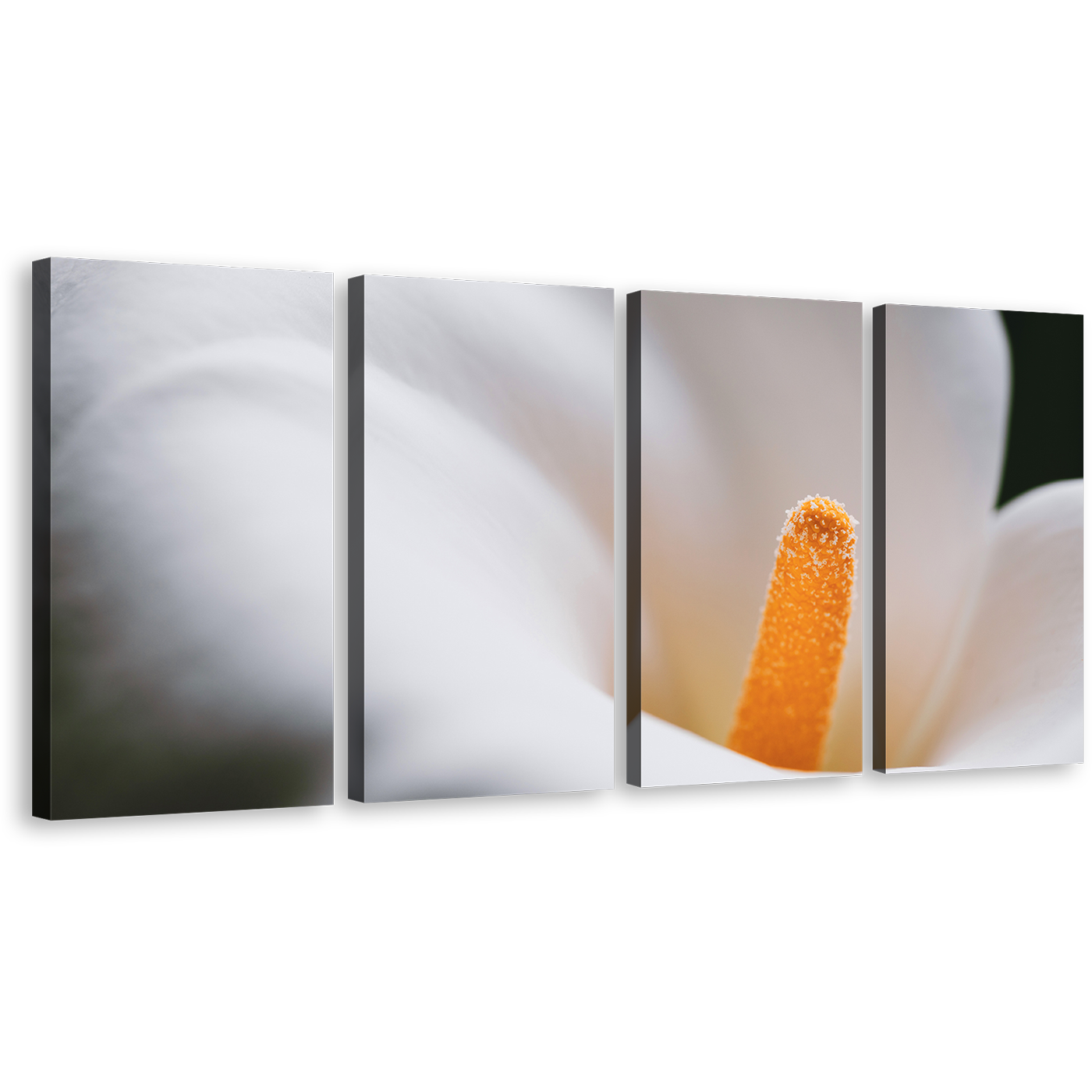 Flower Head Canvas Wall Art, White Yellow Calla Lily Flower 4 Piece Canvas Set, Fresh Lily Close Up Canvas Print