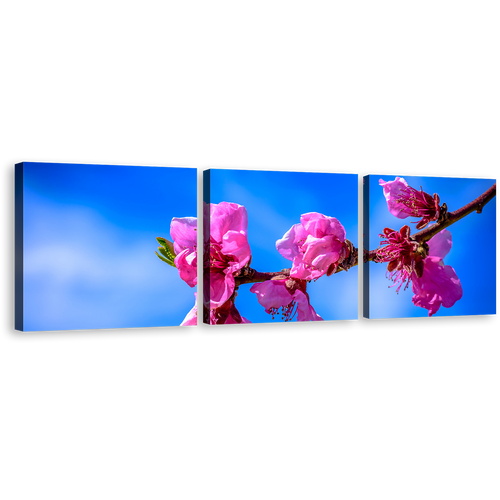 Flowers Branch Canvas Wall Art, Blue Sky Blossom Digital Painting 3 Piece Canvas Set, Pink Floral Canvas Print