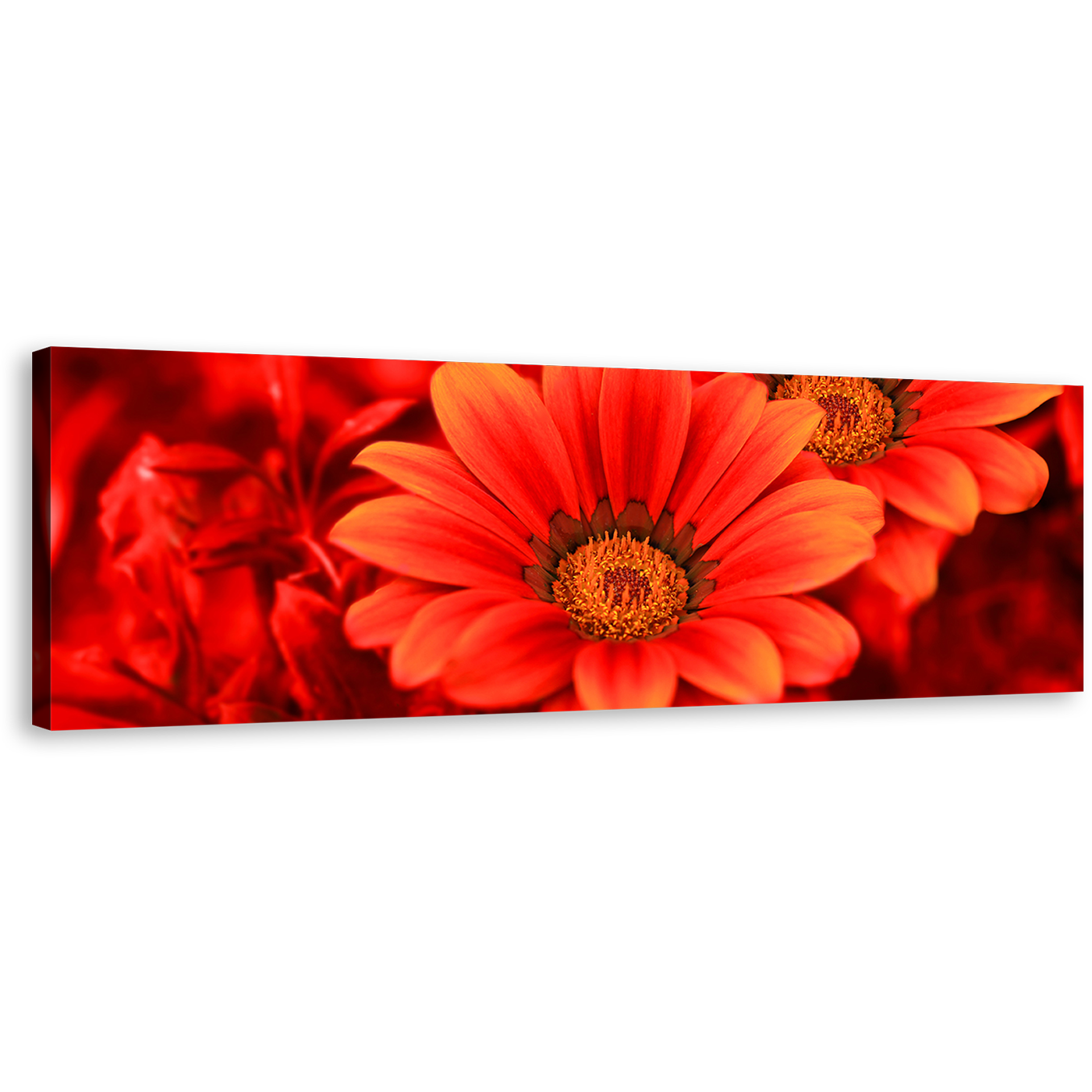 Flowers Closeup Canvas Wall Art, Beautiful Floral Canvas Artwork, Abstract Red Flowers 1 Piece Canvas Print