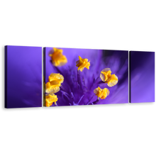 Load image into Gallery viewer, Flowers Closeup Canvas Wall Art, Isolated Purple Floral 3 Piece Canvas Print, Yellow Pistill Canvas Set
