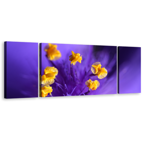 Flowers Closeup Canvas Wall Art, Isolated Purple Floral 3 Piece Canvas Print, Yellow Pistill Canvas Set