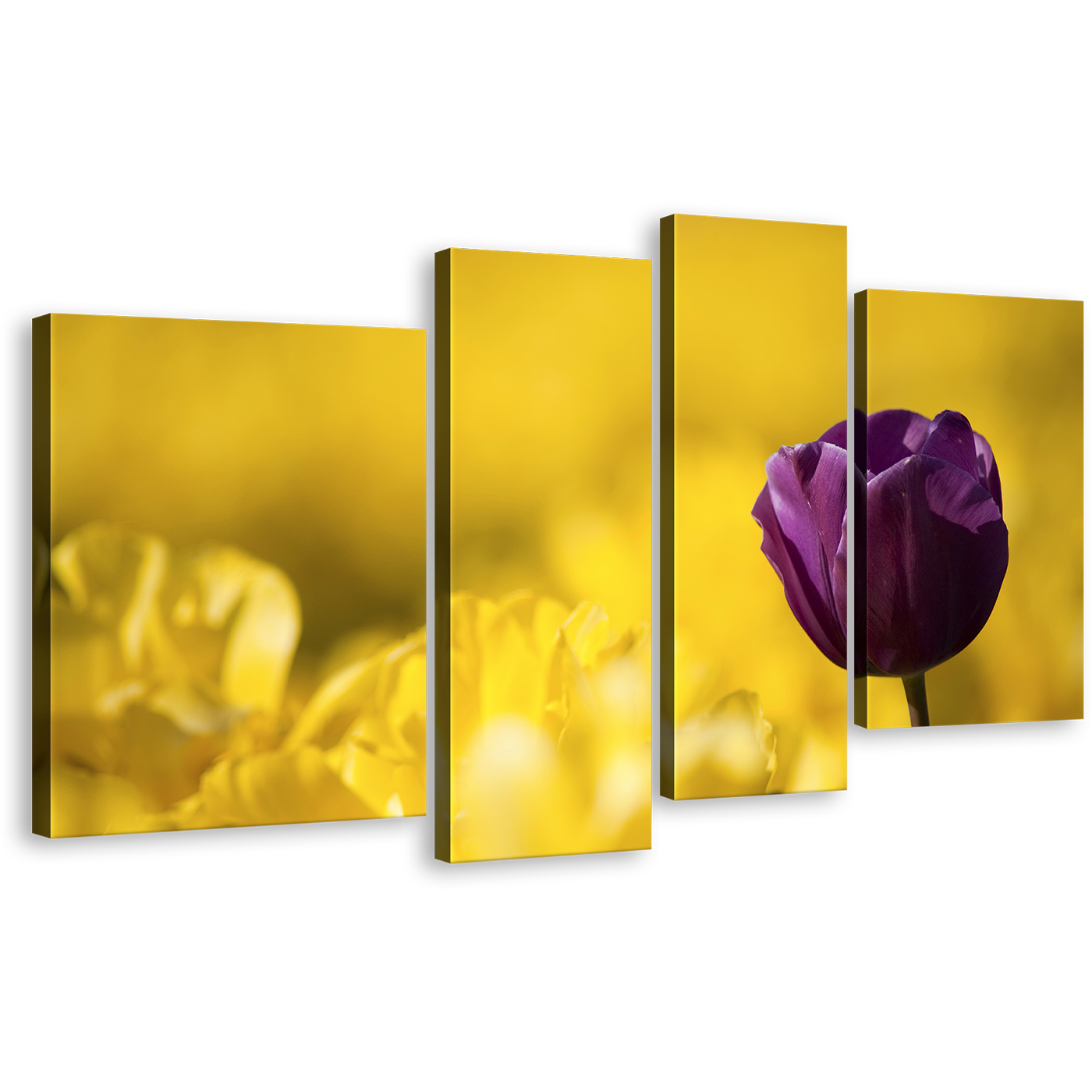 Flowers Fields Canvas Wall Art, Yellow Fields Background Canvas Print, Purple Tulip Flower Close Up 4 Piece Canvas