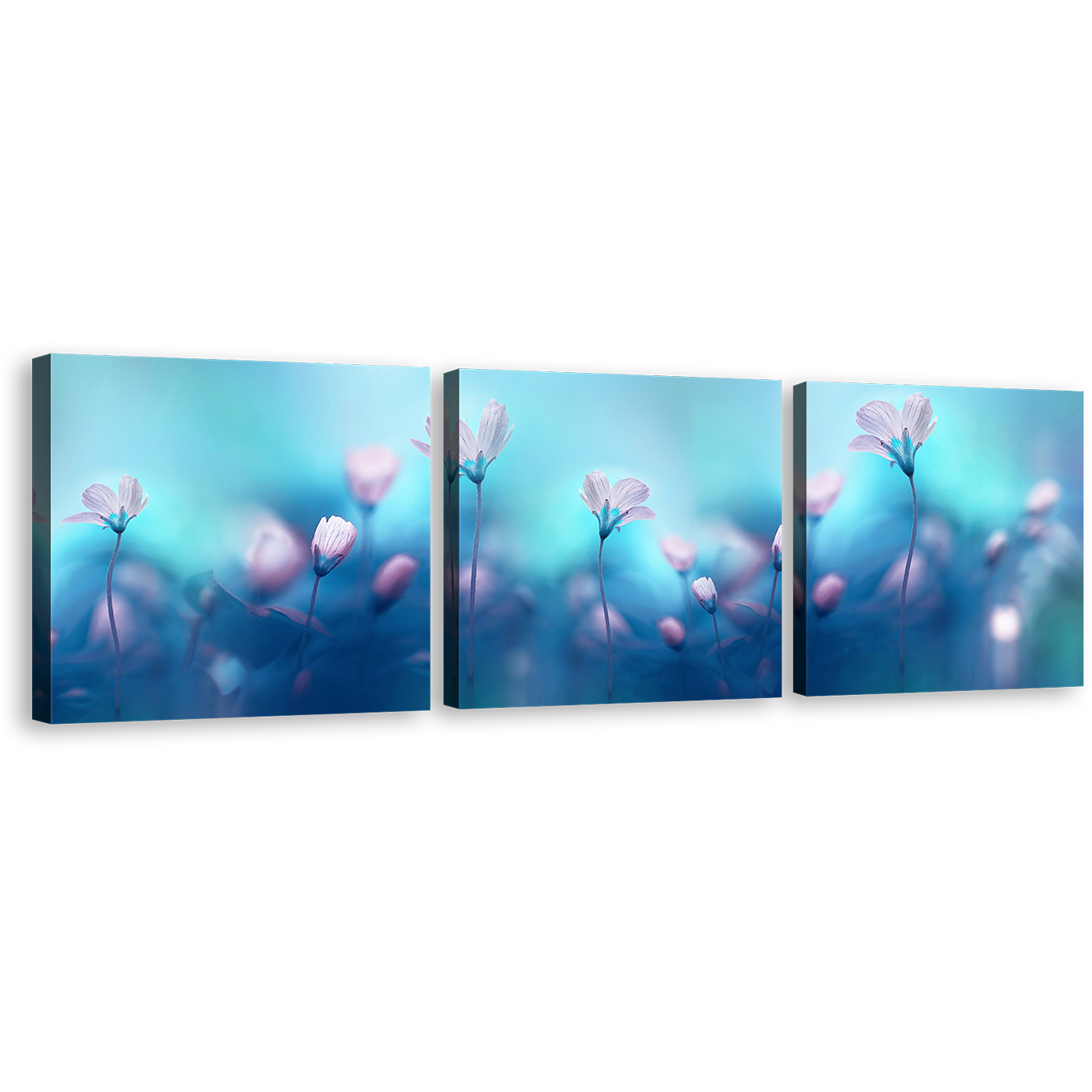 Flowers Primroses Canvas Wall Art, White Flowers Blue Sky Canvas Print, Pink Flower Digital Painting 3 Piece Canvas Set